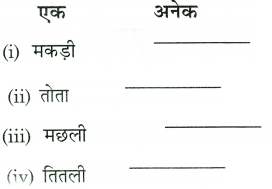 तालाब Class 2 Worksheet with Answers Hindi Chapter 13 3