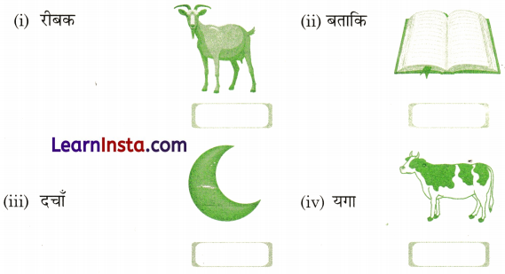 थाथू और मैं Class 2 Worksheet with Answers Hindi Chapter 5 3