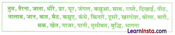 हाथी साइकिल चला रहा था Class 2 Worksheet with Answers Hindi Chapter 21 3