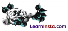CBSE Class 6 Sanskrit Sample Papers 11
