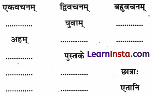 Class 6 Sanskrit Chapter 6 MCQ सः एव महान् चित्रकारः 1