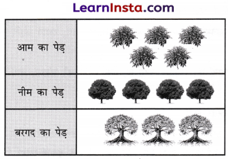 Data Handling and Presentation Class 6 Extra Questions Maths Chapter 4 14