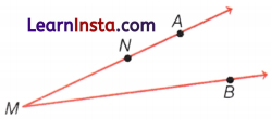 Lines and Angles Class 6 Notes Maths Chapter 2 10