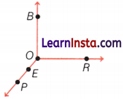 Lines and Angles Class 6 Notes Maths Chapter 2 22