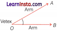 Lines and Angles Class 6 Notes Maths Chapter 2 24