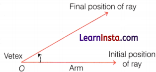 Lines and Angles Class 6 Notes Maths Chapter 2 26