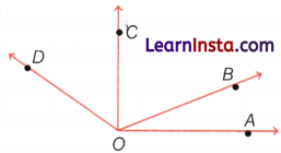 Lines and Angles Class 6 Notes Maths Chapter 2 34