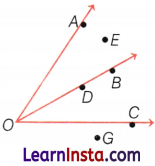 Lines and Angles Class 6 Notes Maths Chapter 2 36