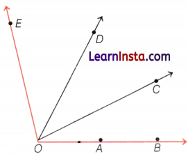 Lines and Angles Class 6 Notes Maths Chapter 2 58