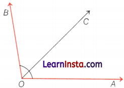Lines and Angles Class 6 Notes Maths Chapter 2 82