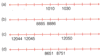 Number Play Class 6 Extra Questions Maths Chapter 3 7