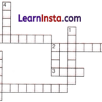 Patterns in Mathematics Class 6 Extra Questions Maths Chapter 1 6