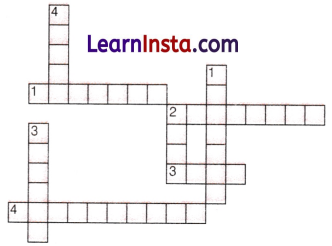 Patterns in Mathematics Class 6 Extra Questions Maths Chapter 1 6