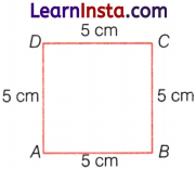 Perimeter and Area Class 6 Notes Maths Chapter 6 6