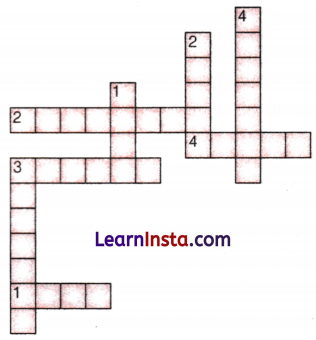 Playing with Constructions Class 6 Extra Questions Maths Chapter 8 1