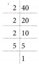 Prime Time Class 6 Extra Questions Maths Chapter 5 1
