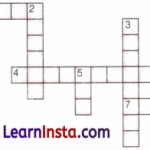 Prime Time Class 6 Extra Questions Maths Chapter 5 5
