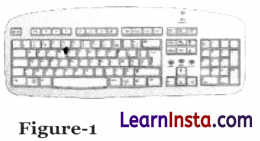 Basic ICT Skills Class 9 Questions and Answers 2