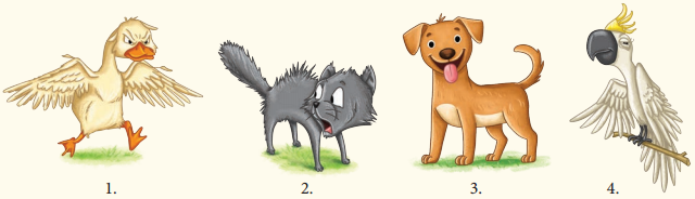 Animals Birds and Dr Dolittle Question Answer Class 7 English Poorvi Chapter 4 1