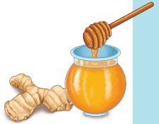 Animals Birds and Dr Dolittle Question Answer Class 7 English Poorvi Chapter 4 6