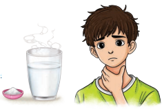 Animals Birds and Dr Dolittle Question Answer Class 7 English Poorvi Chapter 4 8