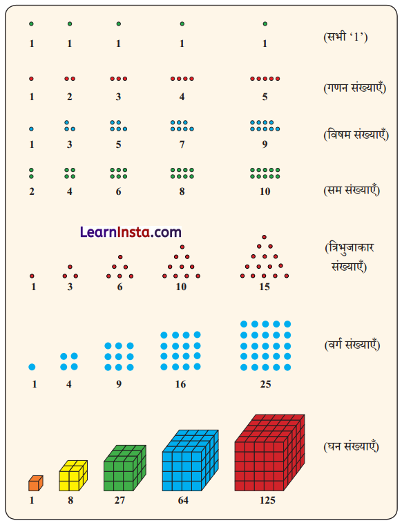 Class 6 Maths Chapter 1 Notes in Hindi गणित में पैटर्न