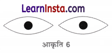 Class 6 Maths Chapter 8 Solutions in Hindi रचनाओं के साथ खेलना 31