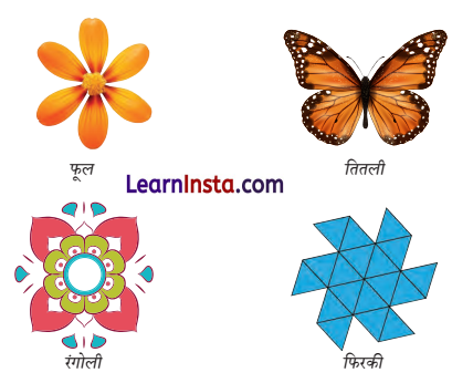 Class 6 Maths Chapter 9 Solutions in Hindi सममिति 1