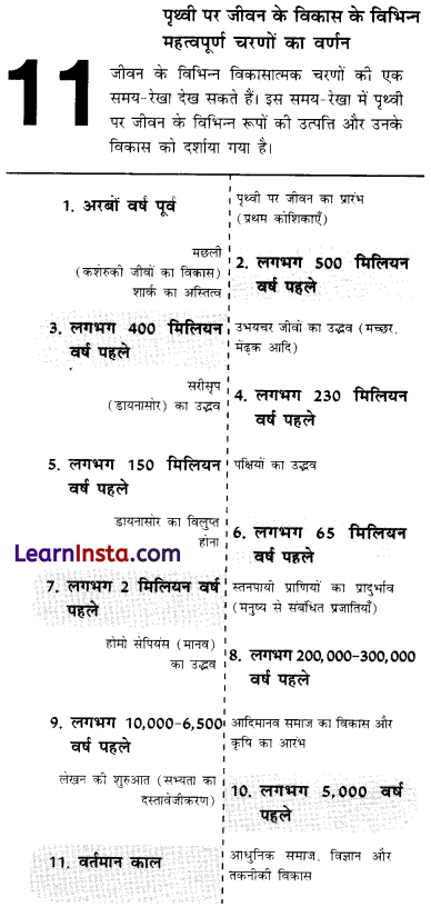 Class 6 SST Chapter 4 Extra Questions and Answers in Hindi इतिहास की समय-रेखा एवं उसके स्रोत Img 1