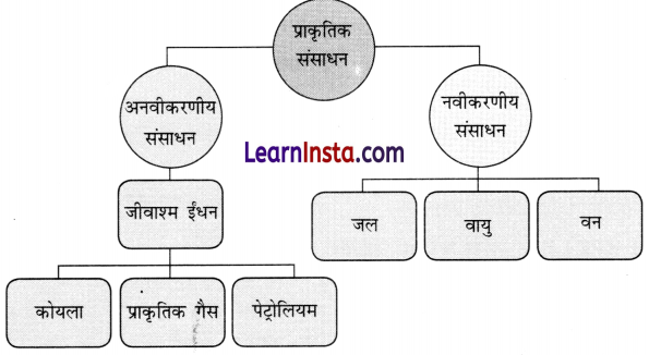 Class 6 Science Chapter 11 Question Answer in Hindi प्रकृति की अमूल्य संपदा 5
