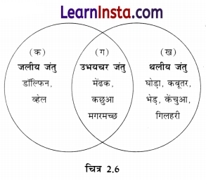 Class 6 Science Chapter 2 Question Answer in Hindi सजीव जगत में विविधता 3