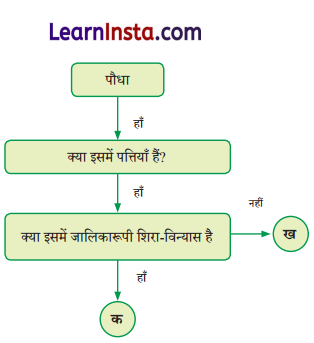 Class 6 Science Chapter 2 Question Answer in Hindi सजीव जगत में विविधता 5