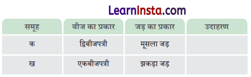 Class 6 Science Chapter 2 Question Answer in Hindi सजीव जगत में विविधता 6