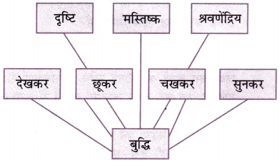 Class 7 Hindi Chapter 2 Question Answer तीन बुद्धिमान (लोककथा) 2
