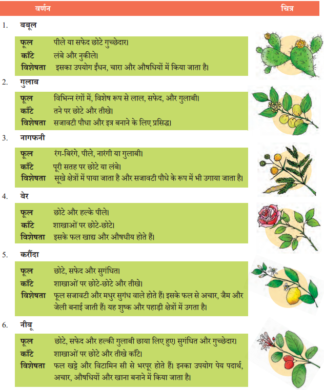 Class 7 Hindi Chapter 3 Question Answer फूल और काँटा 16