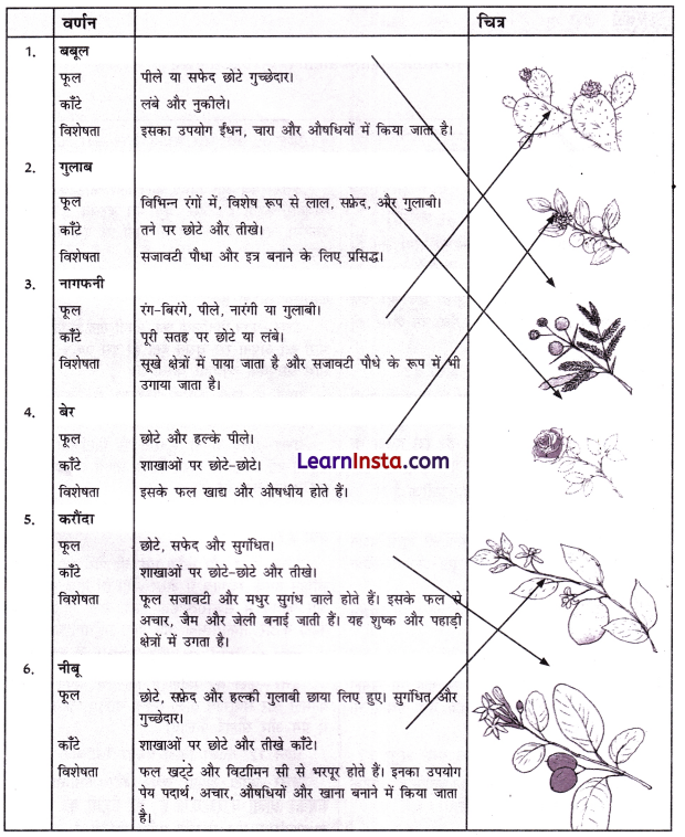 Class 7 Hindi Chapter 3 Question Answer फूल और काँटा 17