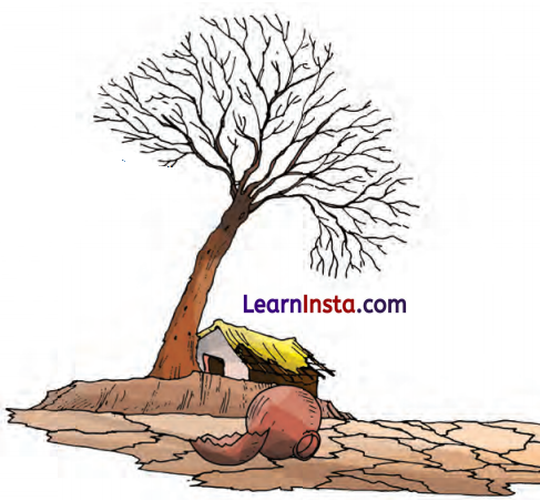 Class 7 Hindi Chapter 4 Question Answer पानी रे पानी 2