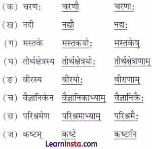 NCERT Class 7 Sanskrit Chapter 1 Question Answer Solutions वन्दे भारतमातरम् Extra Q2.1