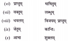 NCERT Class 7 Sanskrit Chapter 1 Question Answer Solutions वन्दे भारतमातरम् Extra Q3.1