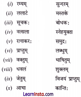 NCERT Class 7 Sanskrit Chapter 1 Question Answer Solutions वन्दे भारतमातरम् Extra Q3.2