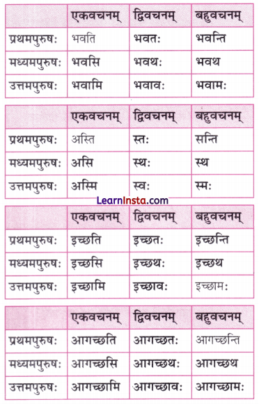 NCERT Class 7 Sanskrit Chapter 1 Question Answer Solutions वन्दे भारतमातरम् Q8.1