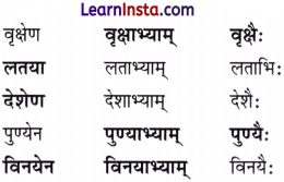 NCERT Class 7 Sanskrit Chapter 2 Question Answer Solutions नित्यं पिबामः सुभाषितरसम् Q6.1