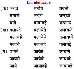 NCERT Class 7 Sanskrit Chapter 4 Question Answer Solutions न लभ्यते चेत् आम्लं द्राक्षाफलम् Q4.1
