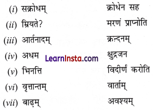 NCERT Class 7 Sanskrit Chapter 7 Question Answer Solutions ईशावास्यम् इदं सर्वम् Extra Q1.1