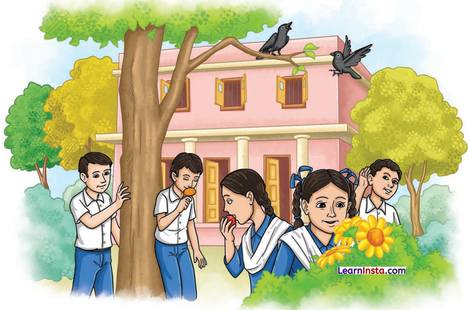 Three Days to See Class 7 Summary in English 1