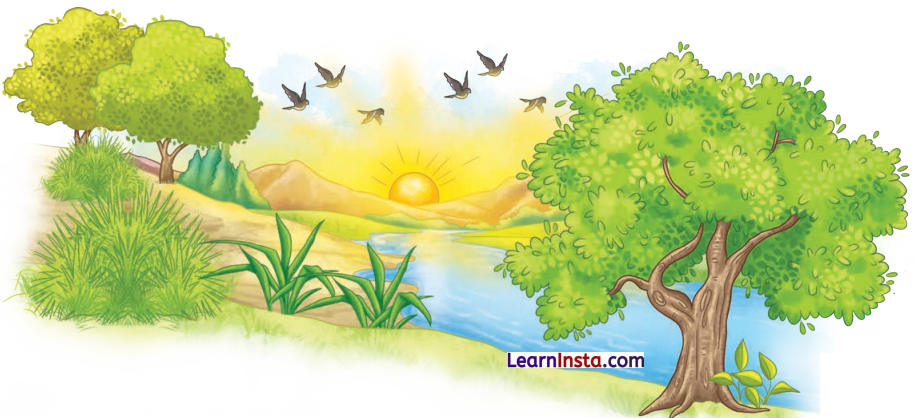 Three Days to See Class 7 Summary in English 2