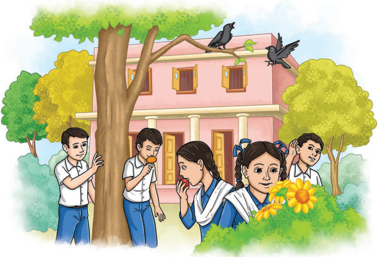 Three Days to See Question Answer Class 7 English Poorvi Chapter 3 1