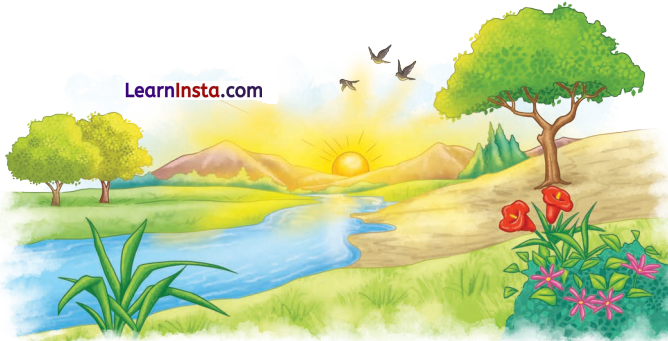 Three Days to See Question Answer Class 7 English Poorvi Chapter 3 2