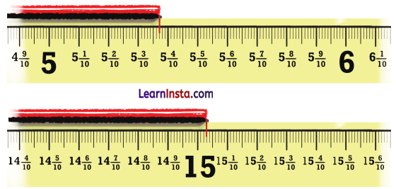 A Peek Beyond the Point Class 7 Solutions Ganita Prakash Maths Chapter 3 Page 55 Q1