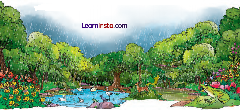Class 7 Hindi Chapter 7 Question Answer वर्षा बहार 5